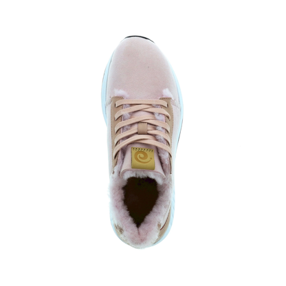 BNSM - Schuh Merino Classic Low, verschiedene Farben